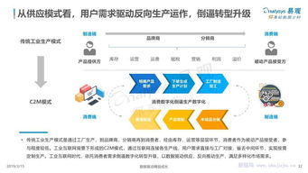 中國工業互聯網數字化發展專題分析 數據服務的新藍海